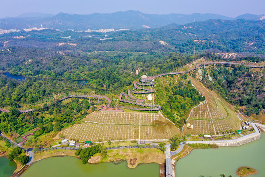 航拍珠海香山湖公园香山云道