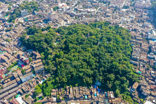 航拍广东中山中山公园