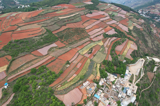 东川红土地