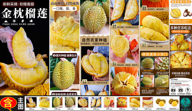 榴蓮詳情金枕榴蓮詳情頁