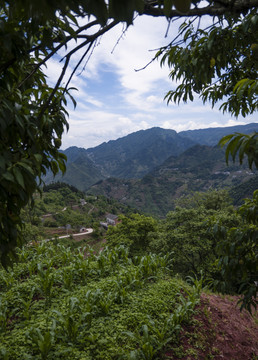 洛旺高山人家