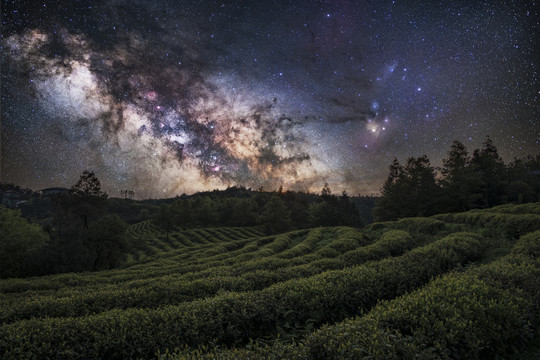 重庆武隆贡茶园星空摄影图