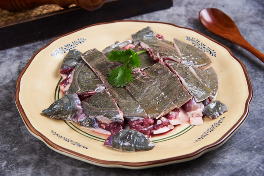 水魚