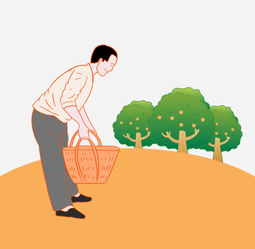 農(nóng)民彎腰采摘