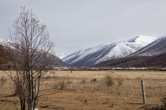 雪山草地自然风光