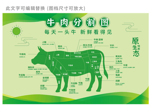 牛肉部位分割圖