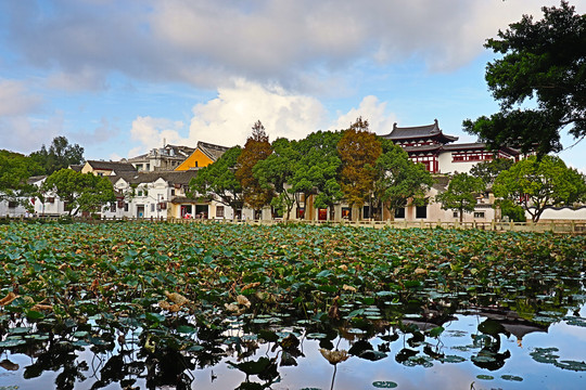 普陀岛