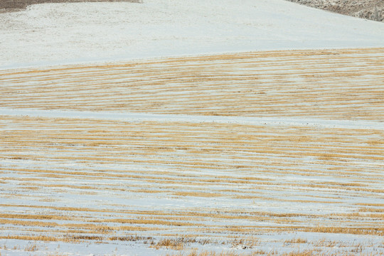 雪地线条田野农田