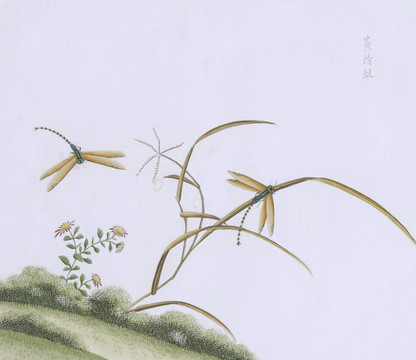 黄蜻蜓虫草国画小品