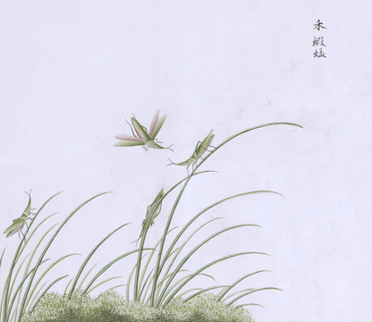 禾蚂蚱虫草国画小品