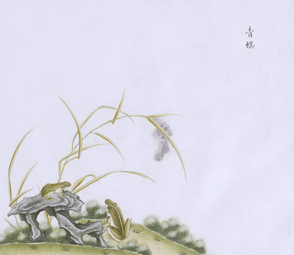 青背青蛙蟲草國畫小品