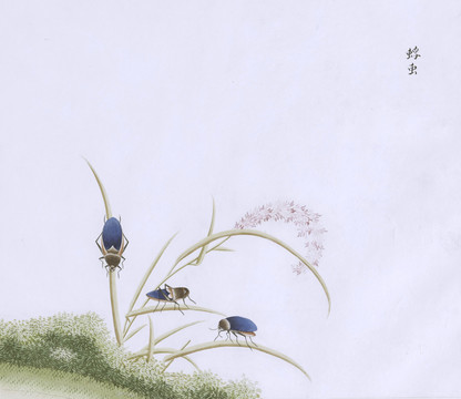 浮虫虫草国画小品