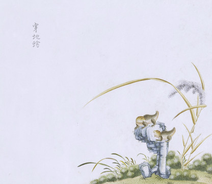 小蜥蜴虫草国画小品