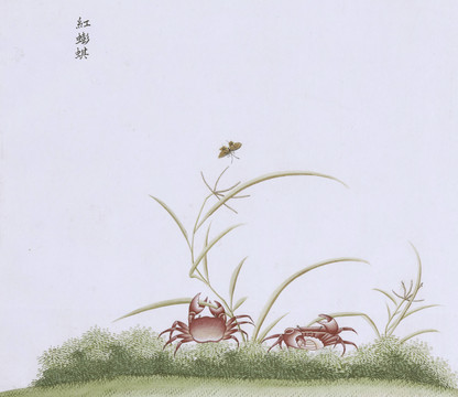 红螃蟹虫草国画小品