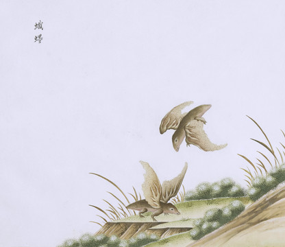 蝙蝠虫草国画小品