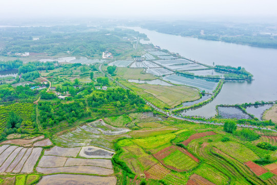 航拍信阳光山县司马光油茶园