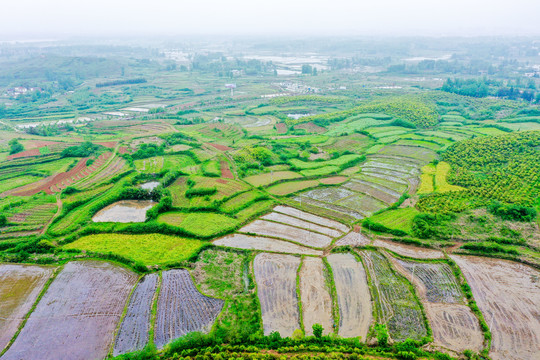 航拍信阳光山县司马光油茶园