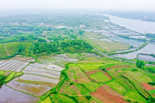 航拍信阳光山县司马光油茶园