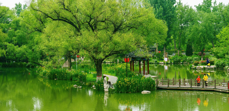 范公亭公園柳樹亭子夏天湖景