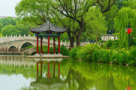 范公亭公園柳樹亭子夏天湖景