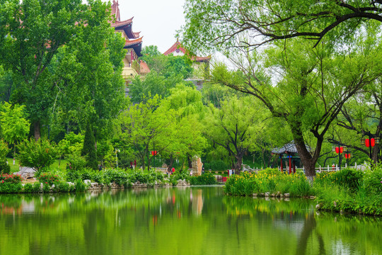 公園夏天湖景
