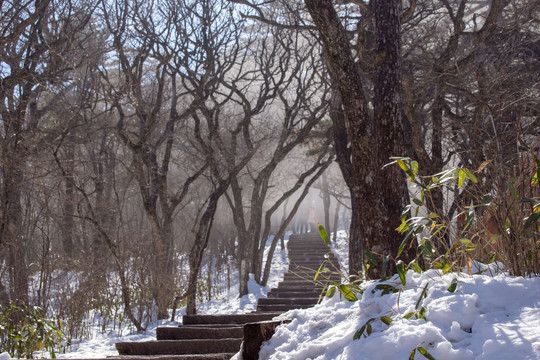 黄山石阶栈道雪景