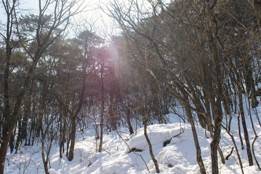 黄山雪景