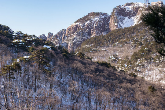 黄山松林雪景