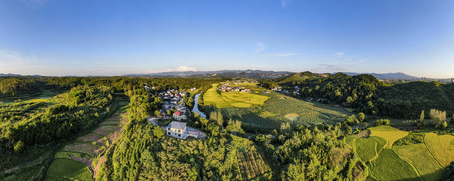 秋收美丽乡村田园全景图