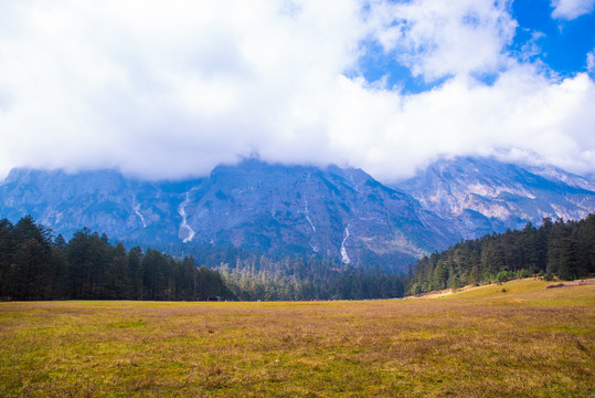 高山草场