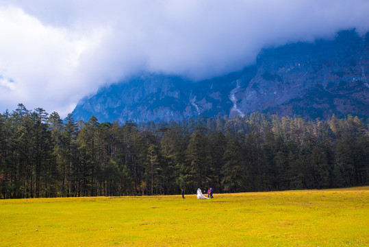 高山草场