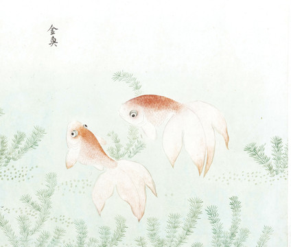 金鱼鱼国画海洋生物手绘