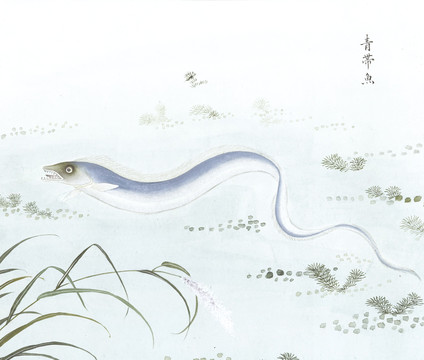 青帶魚魚國(guó)畫海洋生物手繪