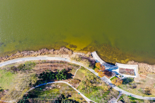 航拍河南郑州中原龙子湖智慧岛