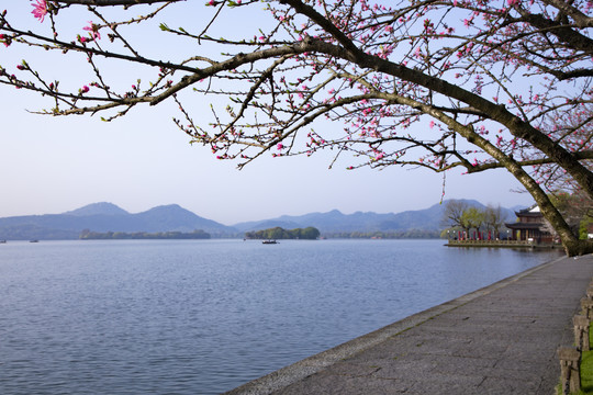 杭州西湖苏堤春天清晨