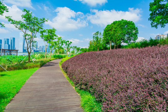 公园绿化休闲小路