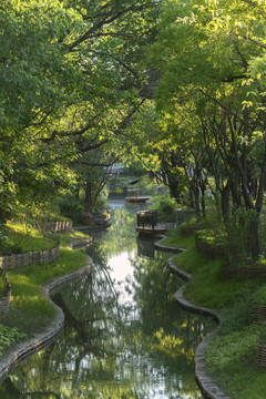 河道治理