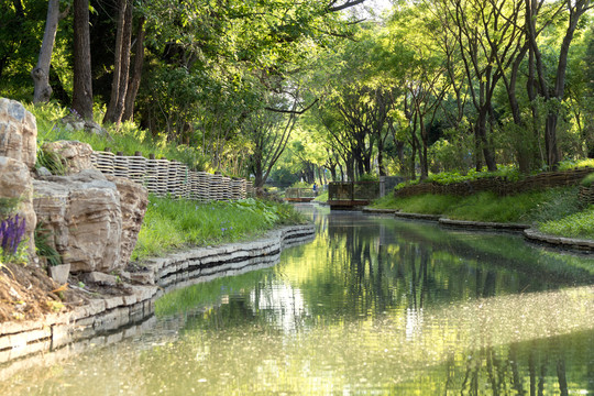 河道堤岸