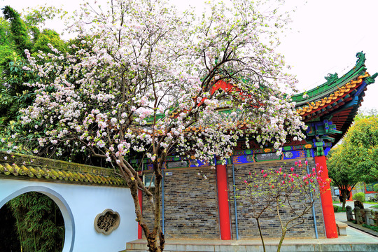 中式園林建筑