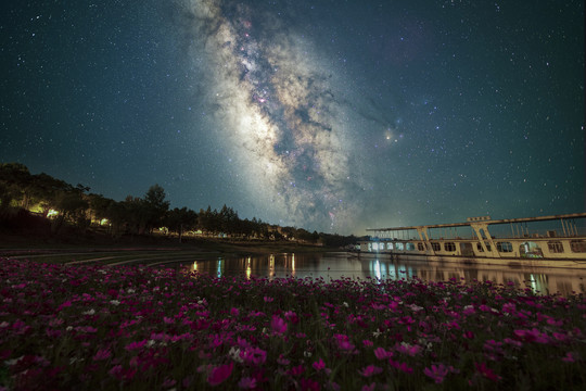 夏季格桑花银河星空