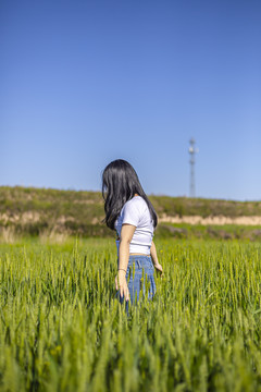 麦田美女唯美背景