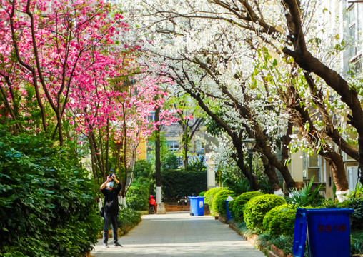 住宅春色