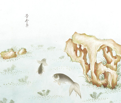 墨金鱼国画鱼海洋生物手绘