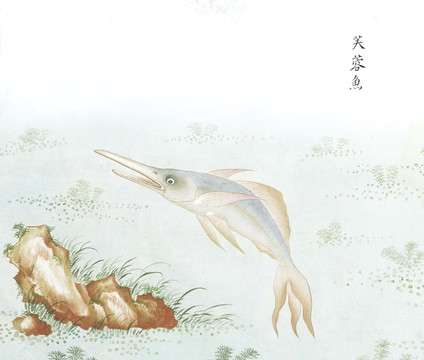 芙蓉鱼国画鱼海洋生物手绘