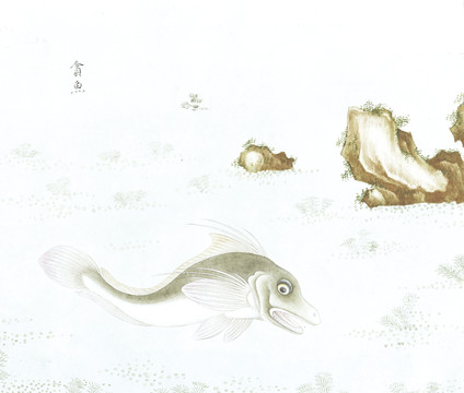 贪鱼国画鱼海洋生物手绘