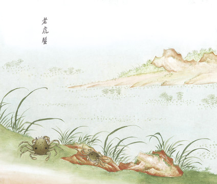 老虎蟹國畫魚海洋生物手繪