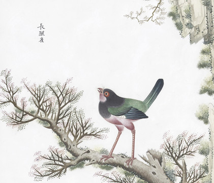 長醒雀花鳥國畫素材插畫