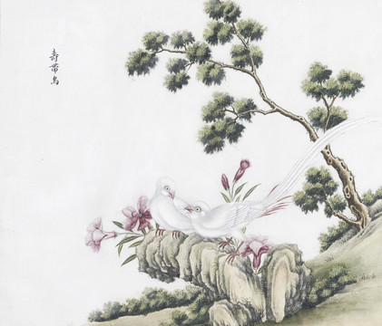壽帶鳥(niǎo)花鳥(niǎo)國(guó)畫(huà)素材插畫(huà)