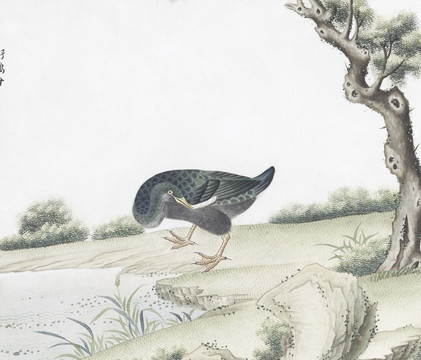 母仔雞花鳥國畫素材插畫