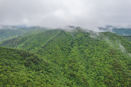 深圳塘朗山郊野公园